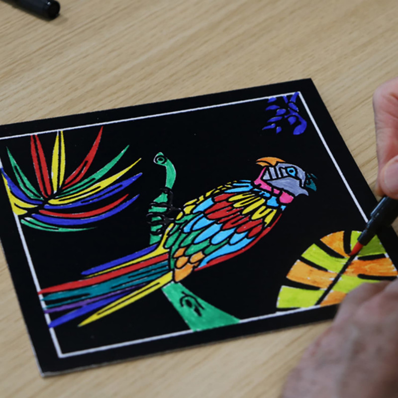 Enjoy Art – Lot de 4 cartes de coloriage en velours - Activités manuelles  pour enfants, adultes, Seniors, Personnes atteintes d’Alzheimer – Motif