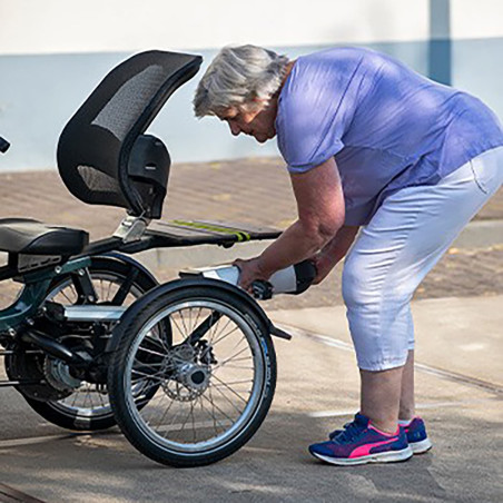 Tricycle Easy rider Van Raam